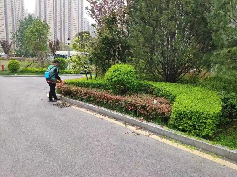 綠化養(yǎng)護11